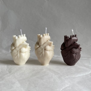 REAL HEART Candle - VEGAN - Anatomical Heart Candle - Anatomical Heart - Human Heart Organ - medical - Gift Idea - Gift - Love Candles