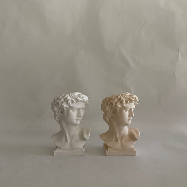 DAVID Vase - VEGAN - David's Head Pen Holder - Statue - Minimal - Vessel - Gift - Gift Idea - Michelangelo - Face Vase - Roman - Antique