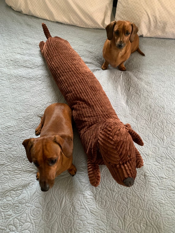 wiener dog body pillow