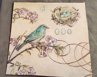 Nature's Observations Bird Art Print Wall Hanging Antique Vintage