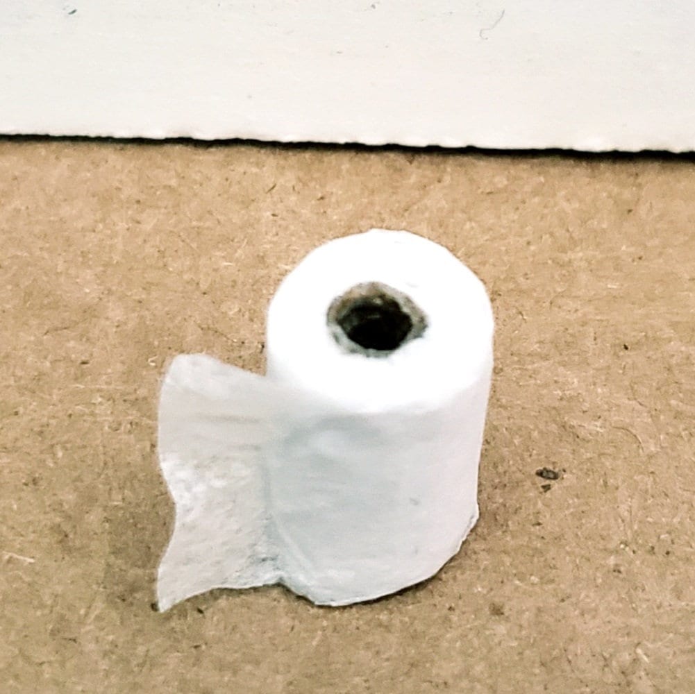 Toilet Paper Rolls -  Canada