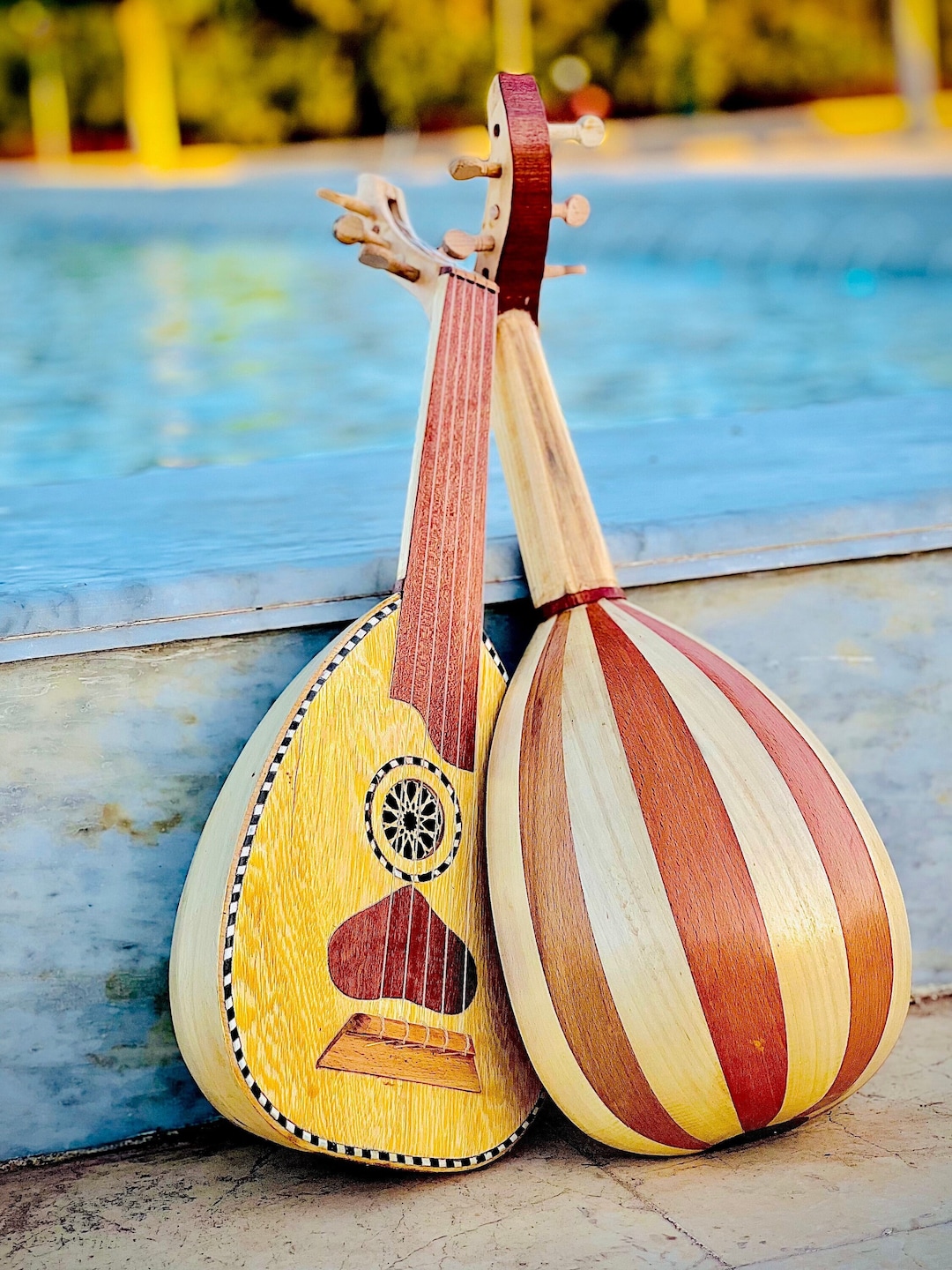 プレミアム品質のリュートウード楽器、5弦メロディーとケース付き