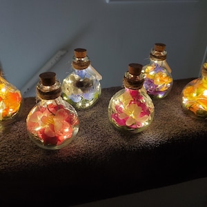 Fairy Forest Jars
