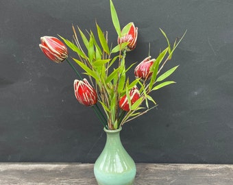 tulipes, tulipes décoratives