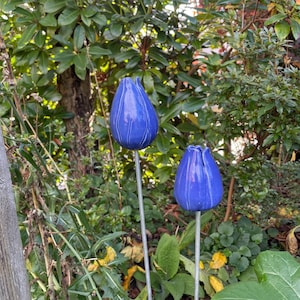 tulipani, fiori, ceramica, regalo, giardino, fiore, ornamento, vaso di fiori,