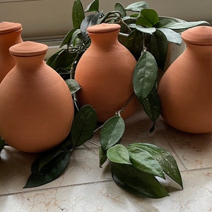 olla pour les plantes pot d'irrigation bolle olla terra