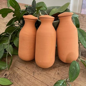 Op de afbeelding: Drie terracottakleurige keramische flessen met een ronde vorm en een gladde afwerking. De flessen zijn in een rij op een houten oppervlak gerangschikt.