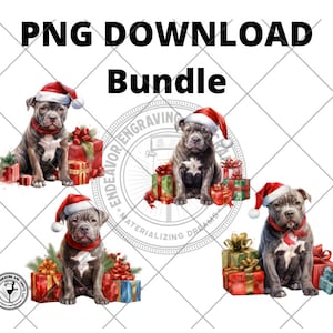 Christmas American Bully Pitbull Bundle PNG Sublimation Design, Dog Mom Christmas Png, Bully PNG, Christmas Animals Png,Digital Download,PNG
