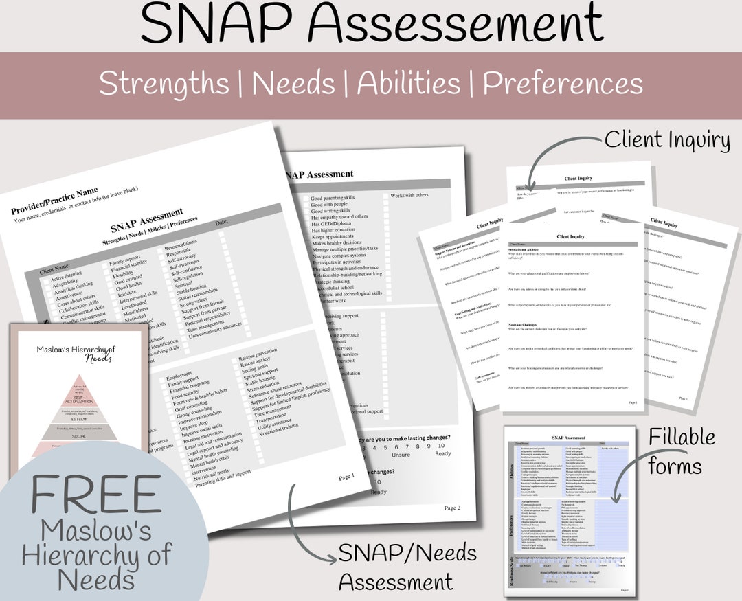 SNAP Assessment Strength Needs Abilities Preferences Etsy Australia