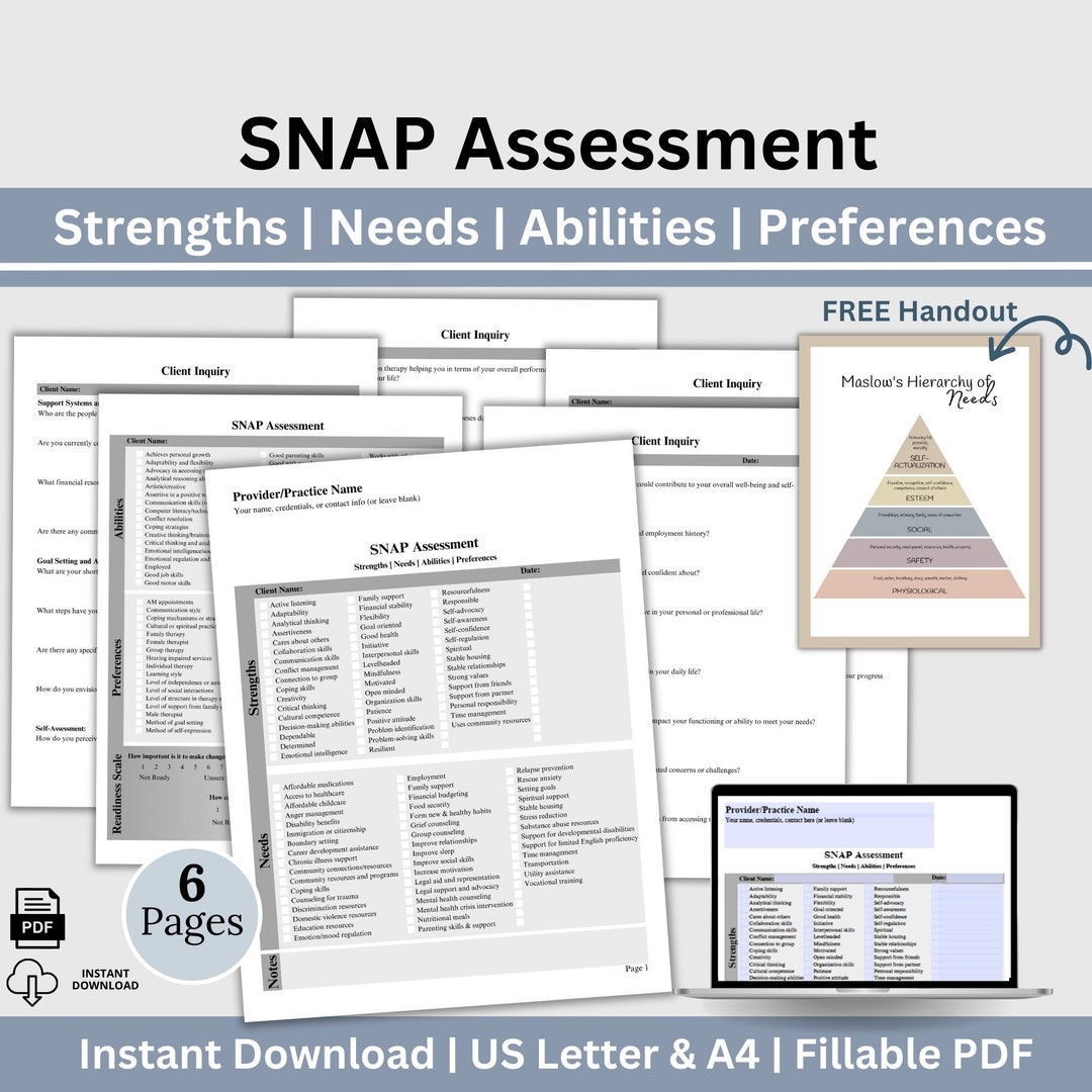 Social Worker SNAP Assessment, Needs Assessment Social Work, Client