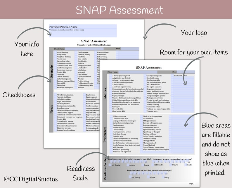 SNAP Assessment Strength Needs Abilities Preferences Etsy