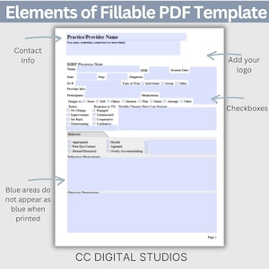 BIRP Progress Note Template: Psychotherapy & Counseling (fillable PDF ...
