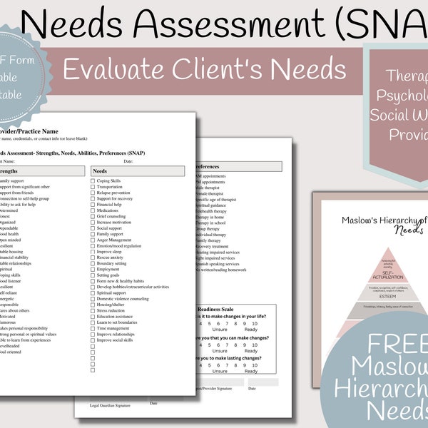 Case Management Needs Assessment Form - Etsy