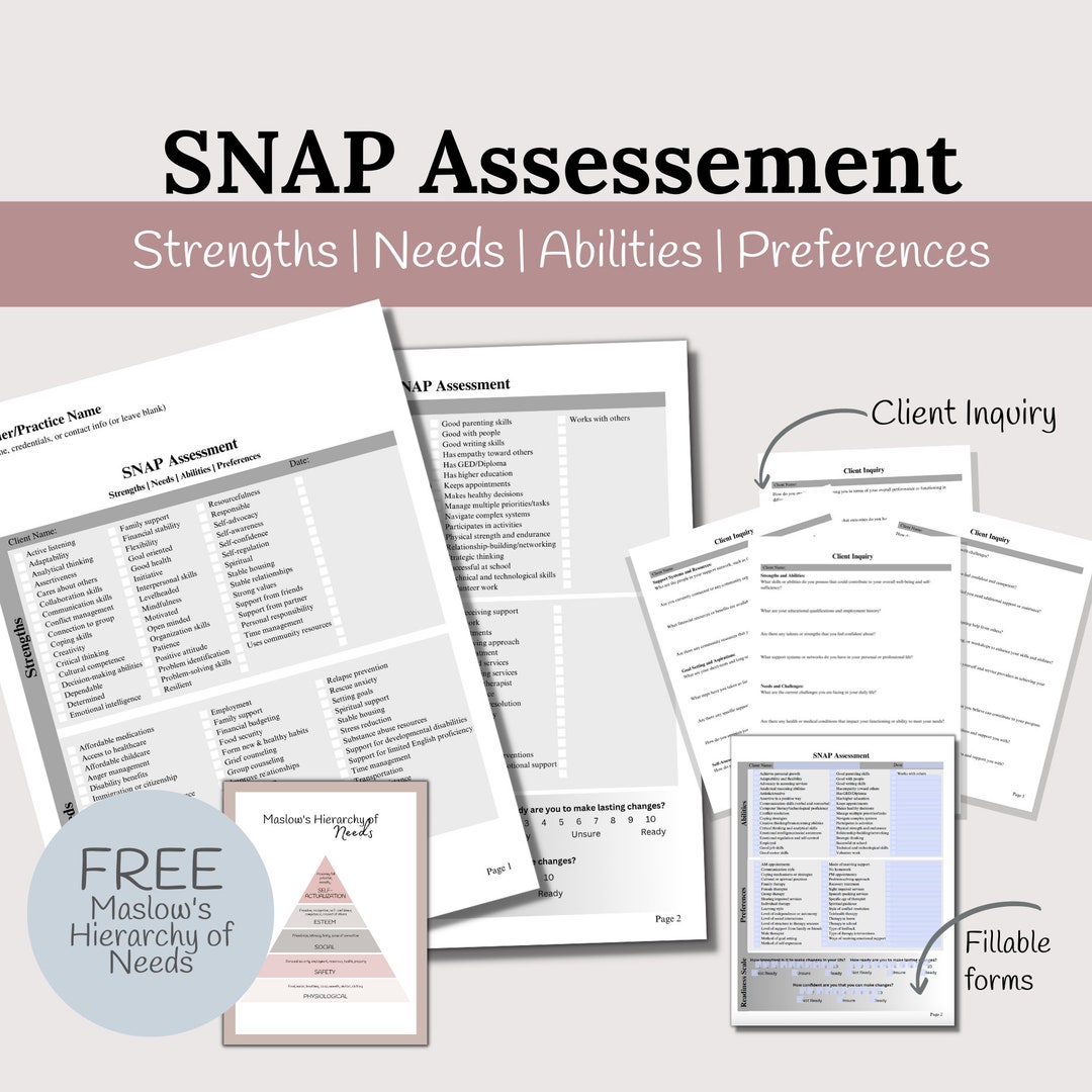 SNAP Assessment Strength Needs Abilities Preferences Template Needs