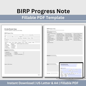 BIRP Progress Note, Psychotherapy Notes, Therapy Tools, Private Practice Forms, Clinical Documentation, Clinical BIRP Progress Note