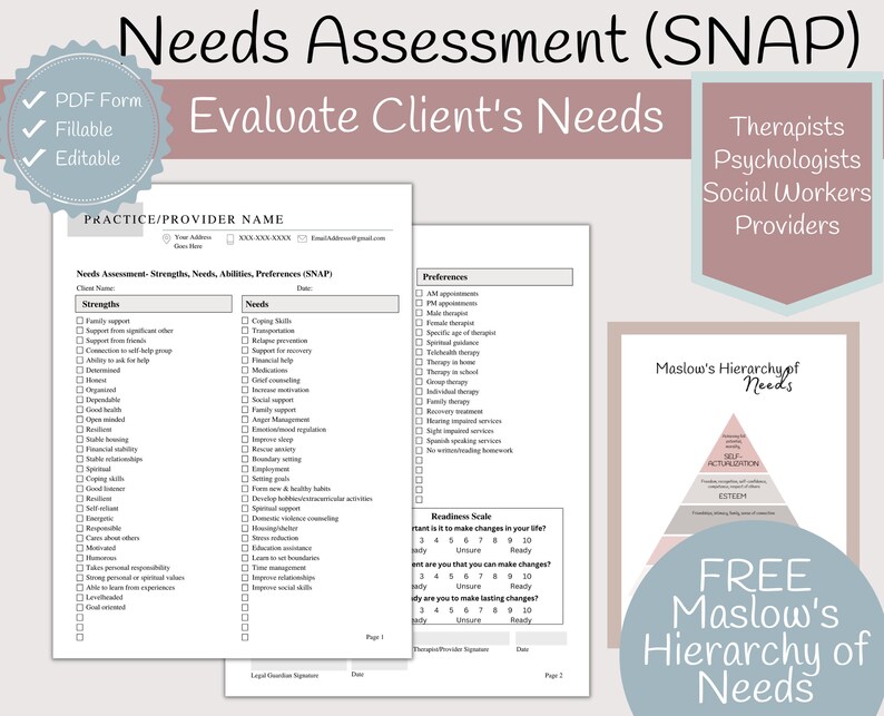 Needs Assessment Template Psychotherapy Assessment Tool SNAP Etsy