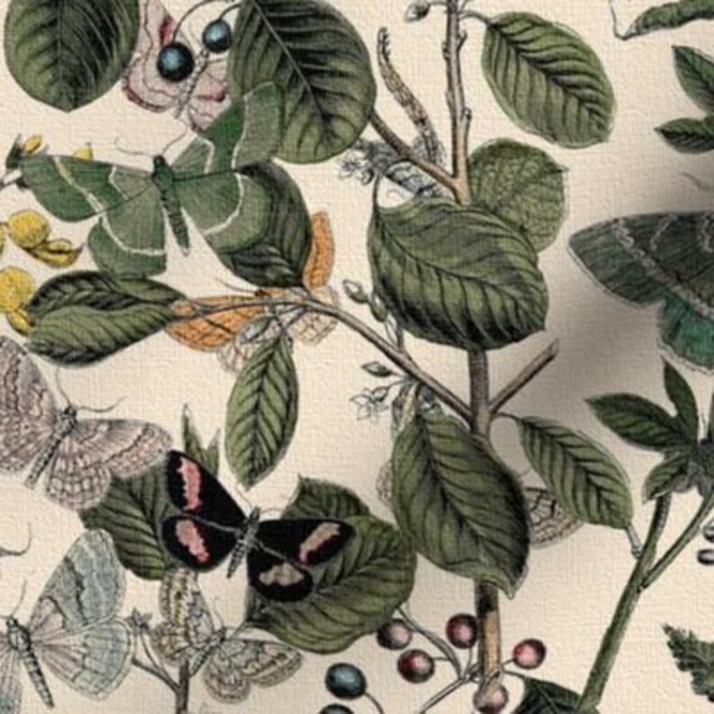 May include: A vintage botanical illustration featuring a variety of butterflies and moths on a cream background. The butterflies are depicted in various shades of green, brown, pink, and white, with intricate wing patterns. The background features a delicate floral design with green leaves and small berries.