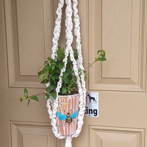 May include: A white macrame plant hanger with a terracotta pot and green plant hanging from a hook on a light brown door. The pot has a colorful design with a bee.