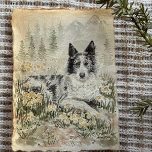 以下が含まれることがあります： 黄色い花が咲く野原に横たわる犬（おそらくボーダーコリー）の水彩画。犬は白と黒の模様があります。背景には森と山が描かれています。絵は素朴でヴィンテージな雰囲気です。