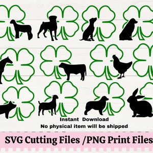 4H Clover SVG pour décalcomanies, 4H Showmanship, Porc, Volaille, Lapin, Produits laitiers, Steer, Chien, Chèvre, Agneau 4H SVG pour club t = chemises, County fair animal