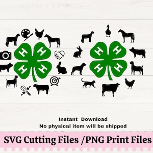 Eq　Jiminy craft language　ill his clover 4H Clover SVG for Decals, 4H Projects, Swine, Poultry