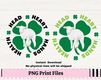 4H Clover Lamb PNG, Lamb png for 4H t-shirt, 4H Clover lamb print for sublimation, 4H Lamb showmanship, Livestock png for decals,