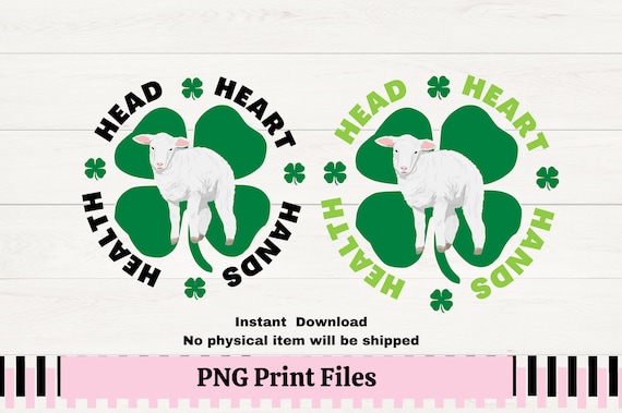 4H Clover Lamb PNG, Lamb png for 4H t-shirt, 4H Clover lamb print for sublimation, 4H Lamb showmanship, Livestock png for decals,
