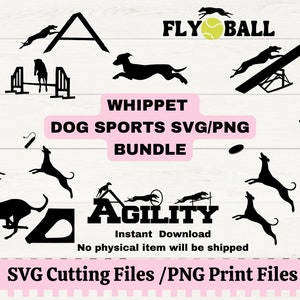Whippet Agility Dog SVG-bundel, windhond flyball png, cadeau voor hondensport