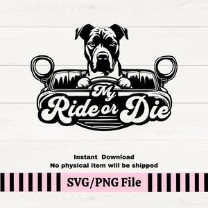 Pitbull My Ride or Die Dog SVG PNG, Mastiff Bully Breed Vinyl Decal, Dog In Car