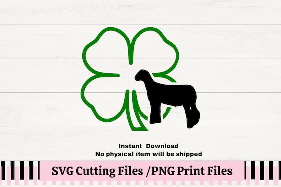 Amazon.com: 12 Pcs Dried Pressed Four Leaf Clover for Art