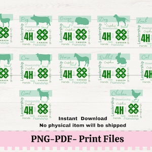 Canadá 4H Project Animals Archivos PNG para sublimación o impresión, Imágenes de ganado 4H, Diseño de camiseta de la Feria del Condado