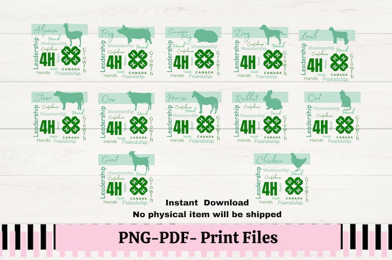 4H Project Animals PNG, County Fair T-shirt Design (digital Download