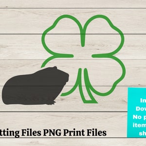 4H Clover SVG pour les décalcomanies, 4H Cavy Showmanship svg pour le t-shirt du club, 4H Guinea Pig Show PNG, County fair Cavy show à la County Fair