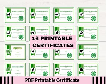 Printable 4-H Participation Certificate, Year End Awards (PDF)
