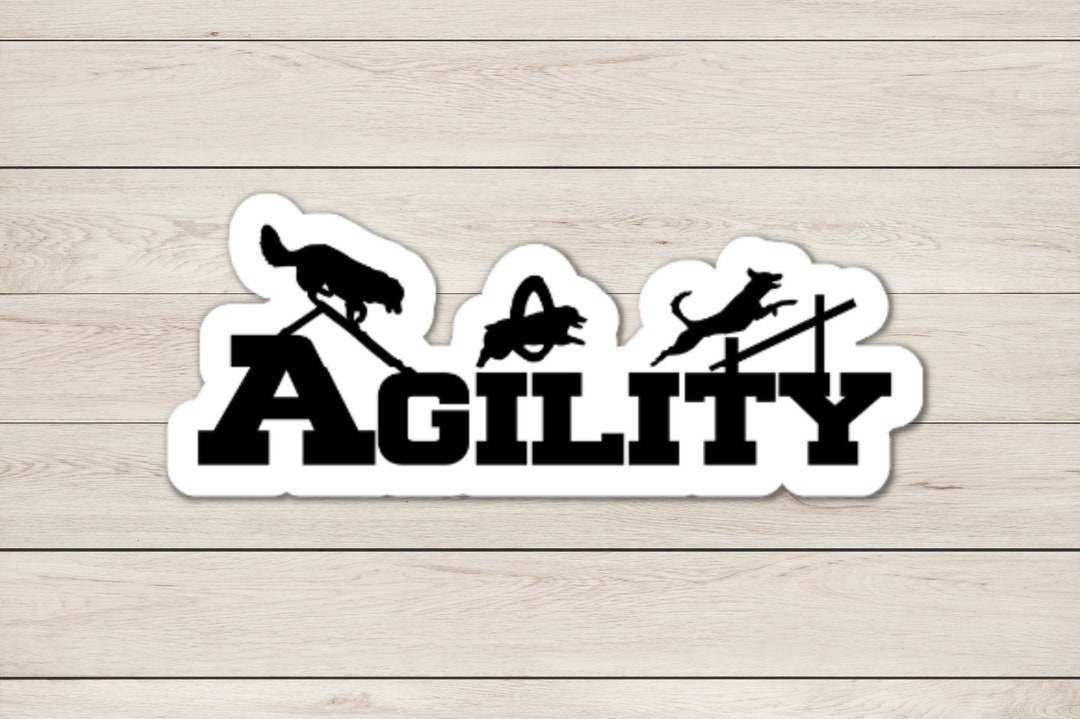 Dog Agility Refrigerator 5 X 2 in Size, Agility Trial Fridge