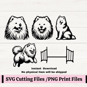 Samojeed behendigheidshond SVG voor snijmachines, Samojeed png voor sublimatieprint, behendigheidscursus hoogspringen, weekenden zijn voor behendigheid