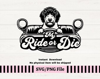 Labradoodle Ride or Die SVG, Golden Doodle Car Decal (Digital Download)