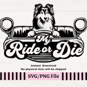 Sheltie My Ride or Die Dog SVG PNG, Shetland Sheepdog Vinyl Decal, Dog In Car