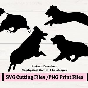 Mini Australische herdershond SVG, American Shepherd PNG Aussie Sihouette, behendigheidscursus hoogspringen, weekenden zijn voor behendigheid