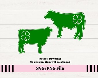 4H Dairy Cow/Steer con trifoglio SVG per decalcomanie, 4H Dairy Cow Showmanship svg per t-shirt, 4H Cow Show PNG, County fair agility Cow show SVG,