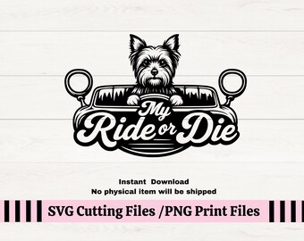 Yorkshire Terrier Ride or Die Car SVG PNG, Adesivo per cani (Download digitale)