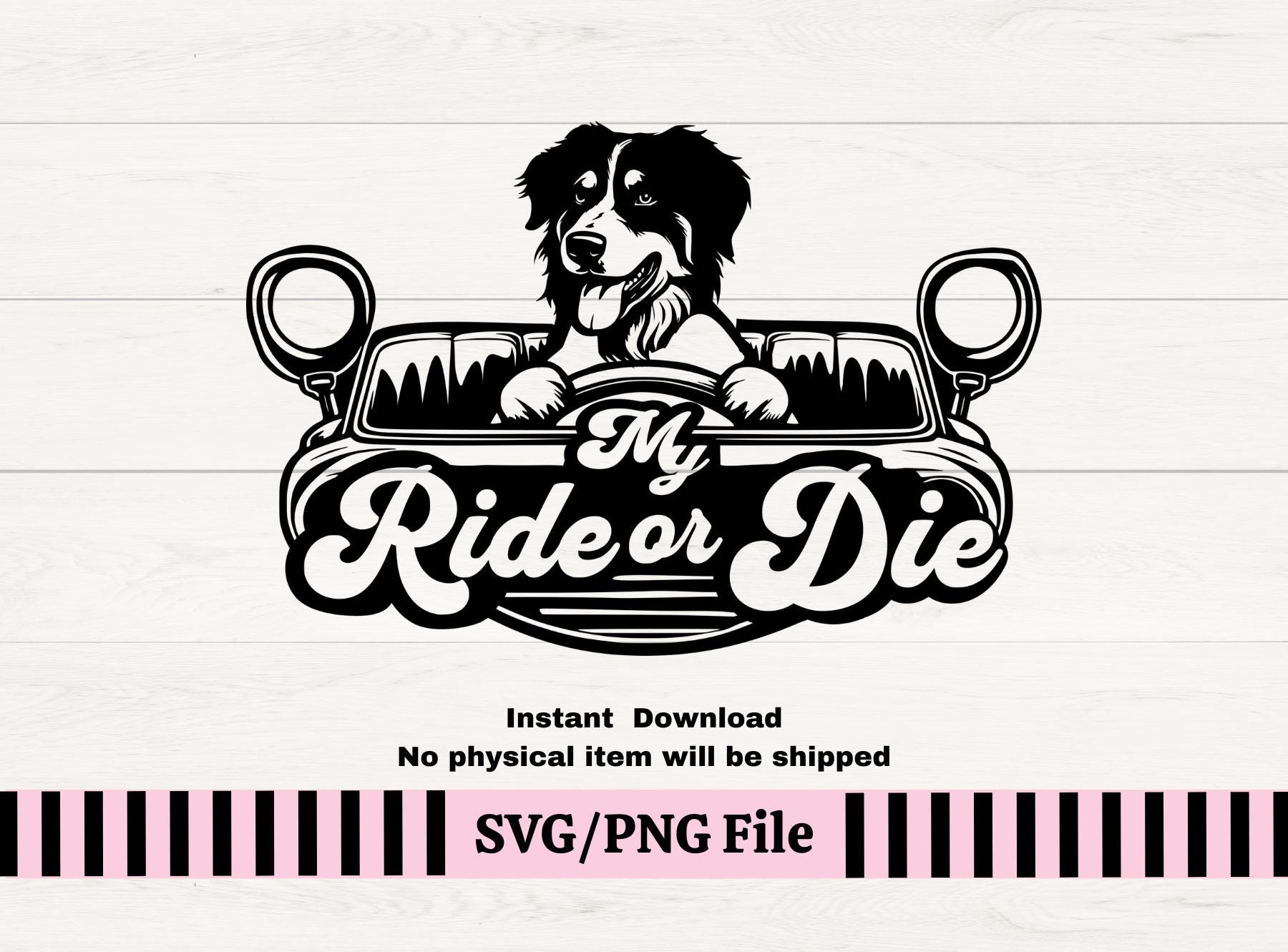 Sheltie My Ride or Die Dog SVG PNG, Shetland Sheepdog Vinyl Decal, Dog In Car