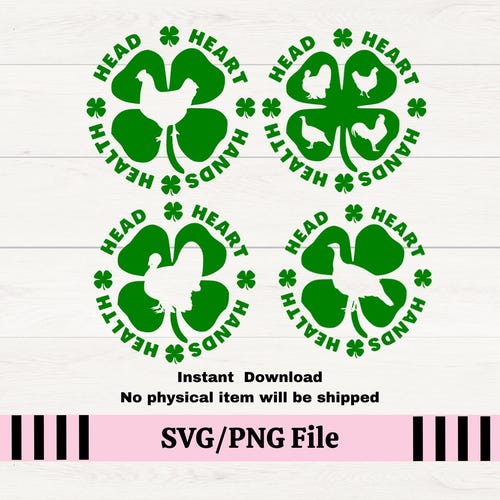 4H Clover Chicken SVG, Poultry Show Design (Digital Download)