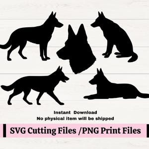 May include: Black silhouette images of German Shepherds in various poses: standing, sitting, and lying down. Includes a head profile. The text "SVG Cutting Files / PNG Print Files" is at the bottom.