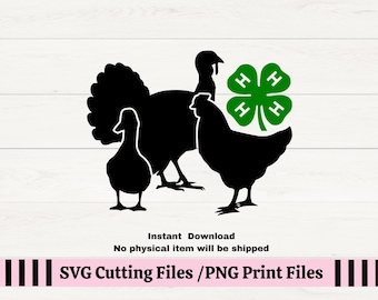 4H Clover SVG for decals, 4H Poultry Showmanship svg for t-shirt, 4H Chicken Show PNG, County fair agility Poultry show SVG, 4h Duck Svg