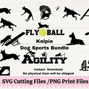 Australian Kelpie Agility, Kelpie Dog Sports-liefhebber, Flyball, Dock Diving Kelpie, Disc Dog