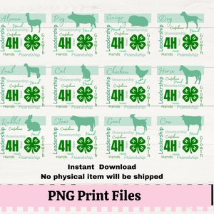 Arquivos PNG de animais do projeto 4H para sublimação ou impressão, imagens de gado 4H, design de camisetas da feira do condado