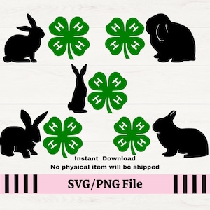 4H Clover with Rabbit SVG for decals, 4H Rabbit Showmanship svg for t-shirt, County Fair