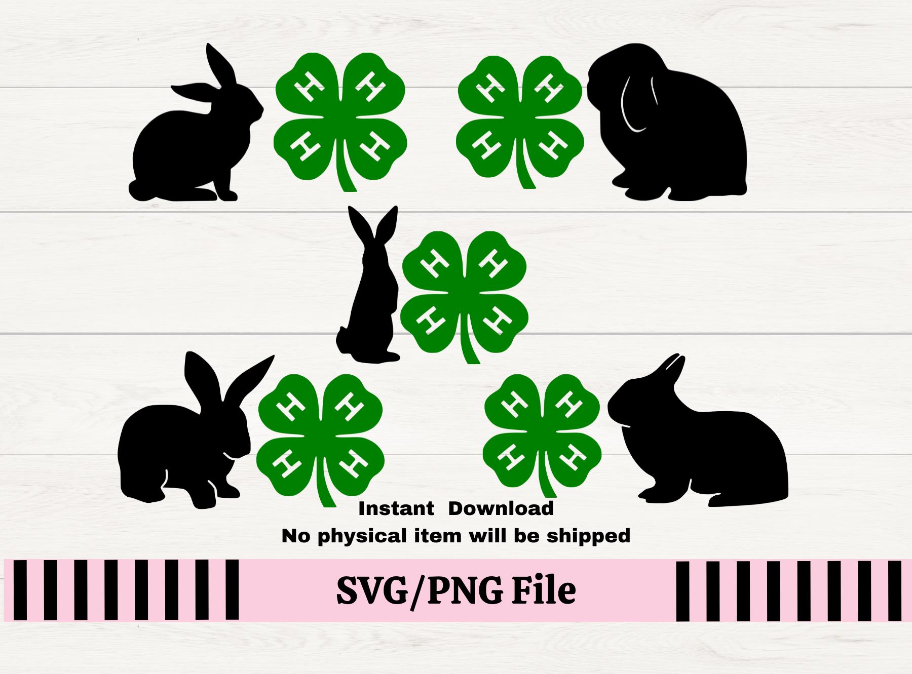 4H Clover Rabbit SVG: County Fair T-shirt Decal (digital Download 4H Clover Rabbit SVG: County Fair T-shirt Decal (digital Download