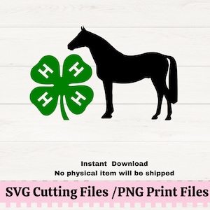 4H Saddle Horse Showmanship SVG per macchine da taglio, 4H Horse Show PNG, Fiera dei cavalli della contea,